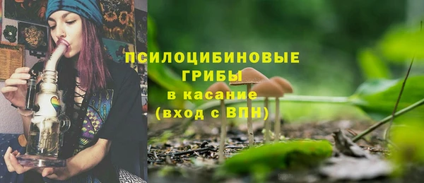 синтетический гашиш Медвежьегорск