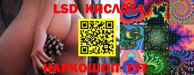индика Ливны