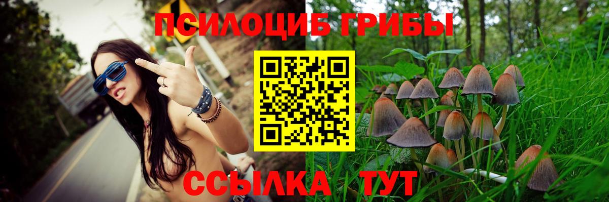 Псилоцибиновые грибы прущие грибы  Псилоцибиновые грибы мухоморы  закладки  Вход с VPN  Стрежевой 